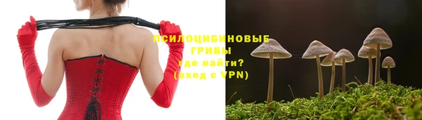 PSILOCYBIN Богданович